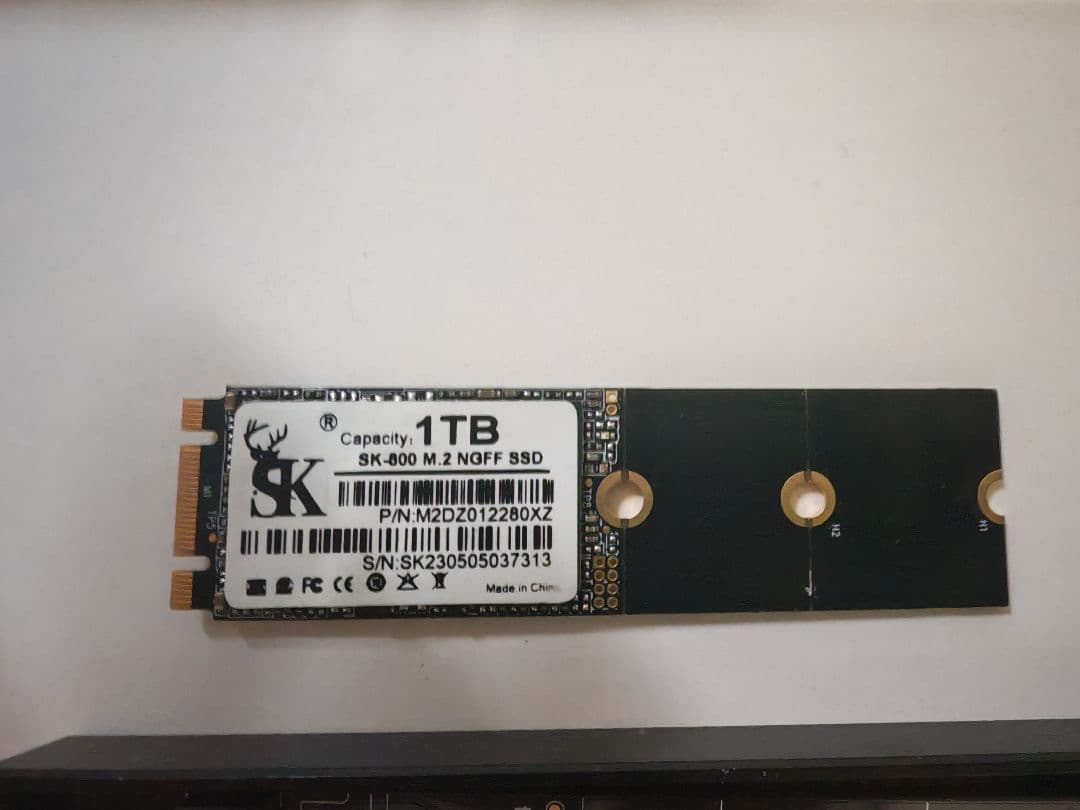 SK-600 M.2 NGFF SSD 1TB 外付けケース付き