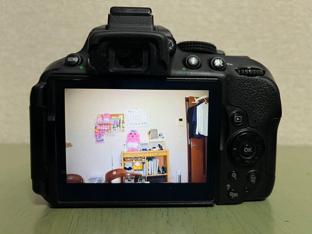 Nikon D5300 + Nikkor 18-140mm VR Wi-Fi対応
