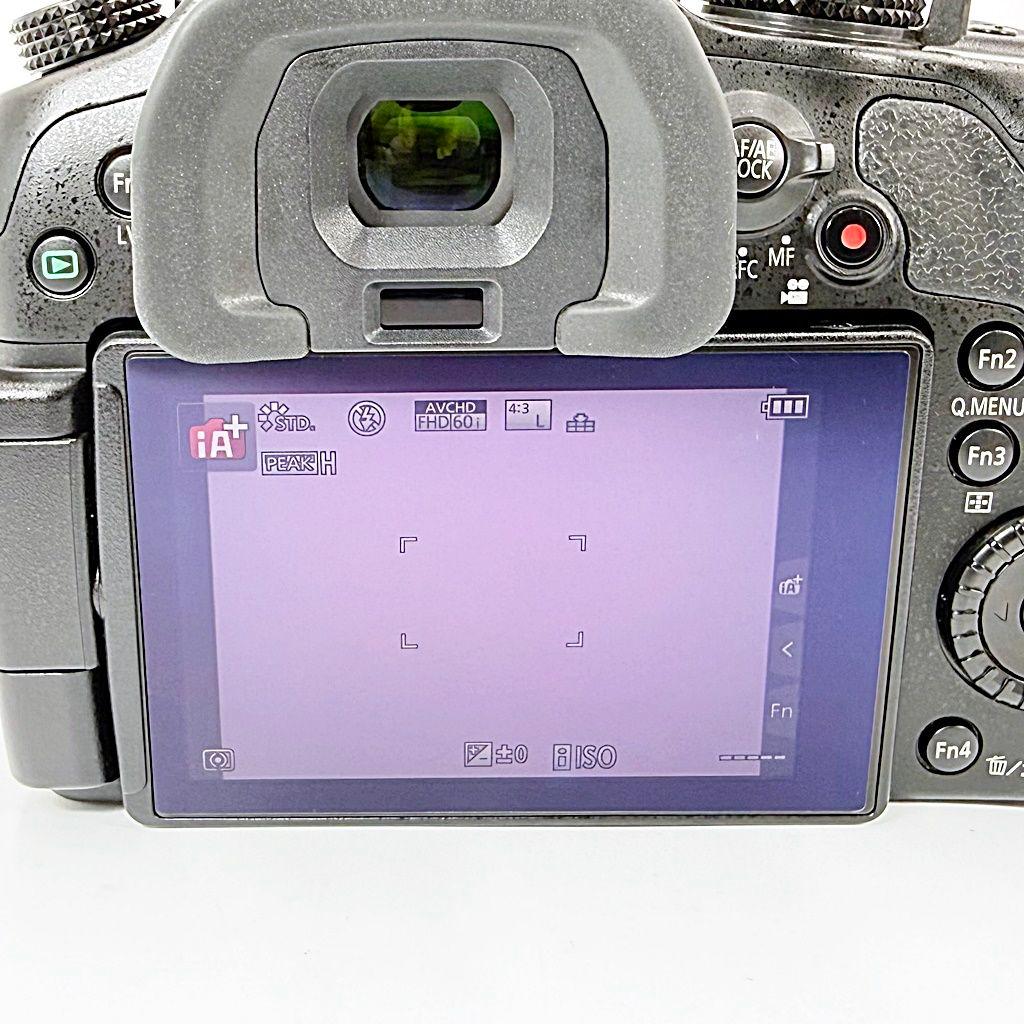 パナソニック LUMIX DMC-GH4-K ボディ ミラーレス カメラ 中古