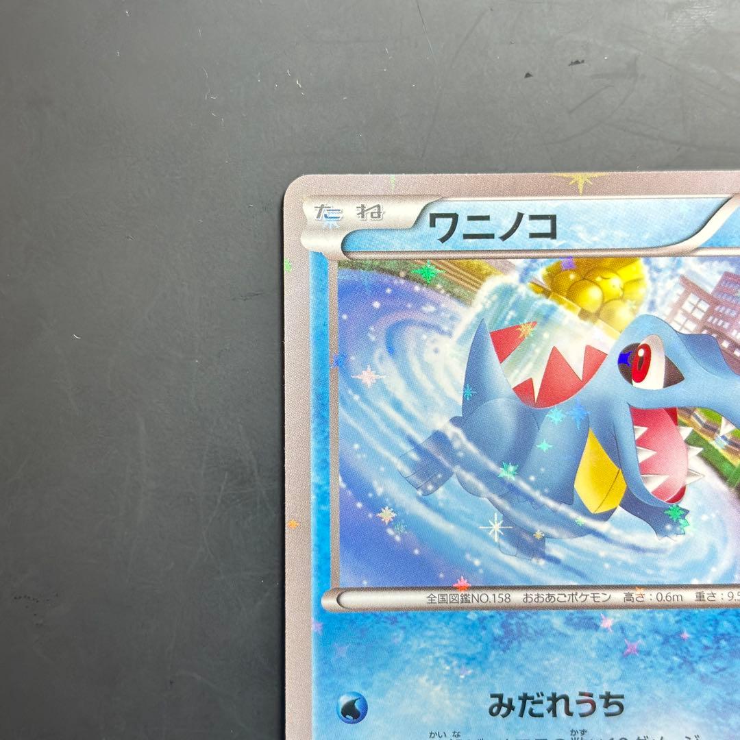希少　ワニノコ ヒノアラシ P プロモ　ポケセン限定