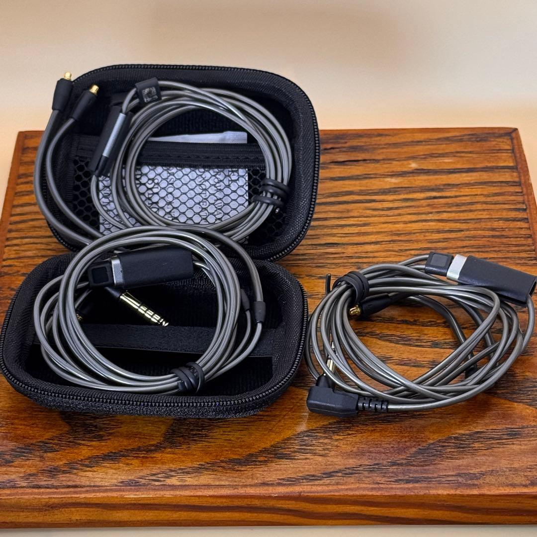 Sennheiser IE900 ゼンハイザー【付属品完備*正規品】