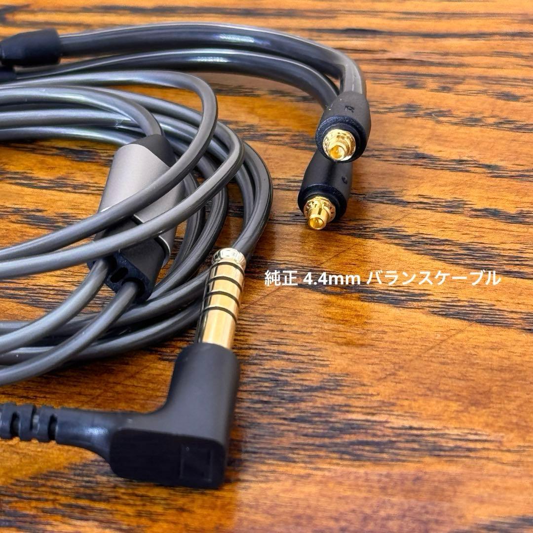Sennheiser IE900 ゼンハイザー【付属品完備*正規品】