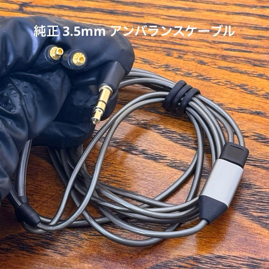 Sennheiser IE900 ゼンハイザー【付属品完備*正規品】