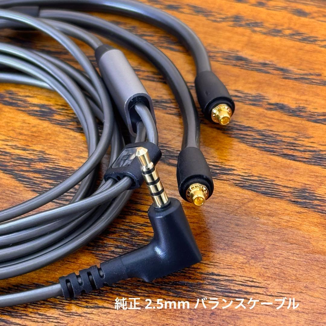 Sennheiser IE900 ゼンハイザー【付属品完備*正規品】
