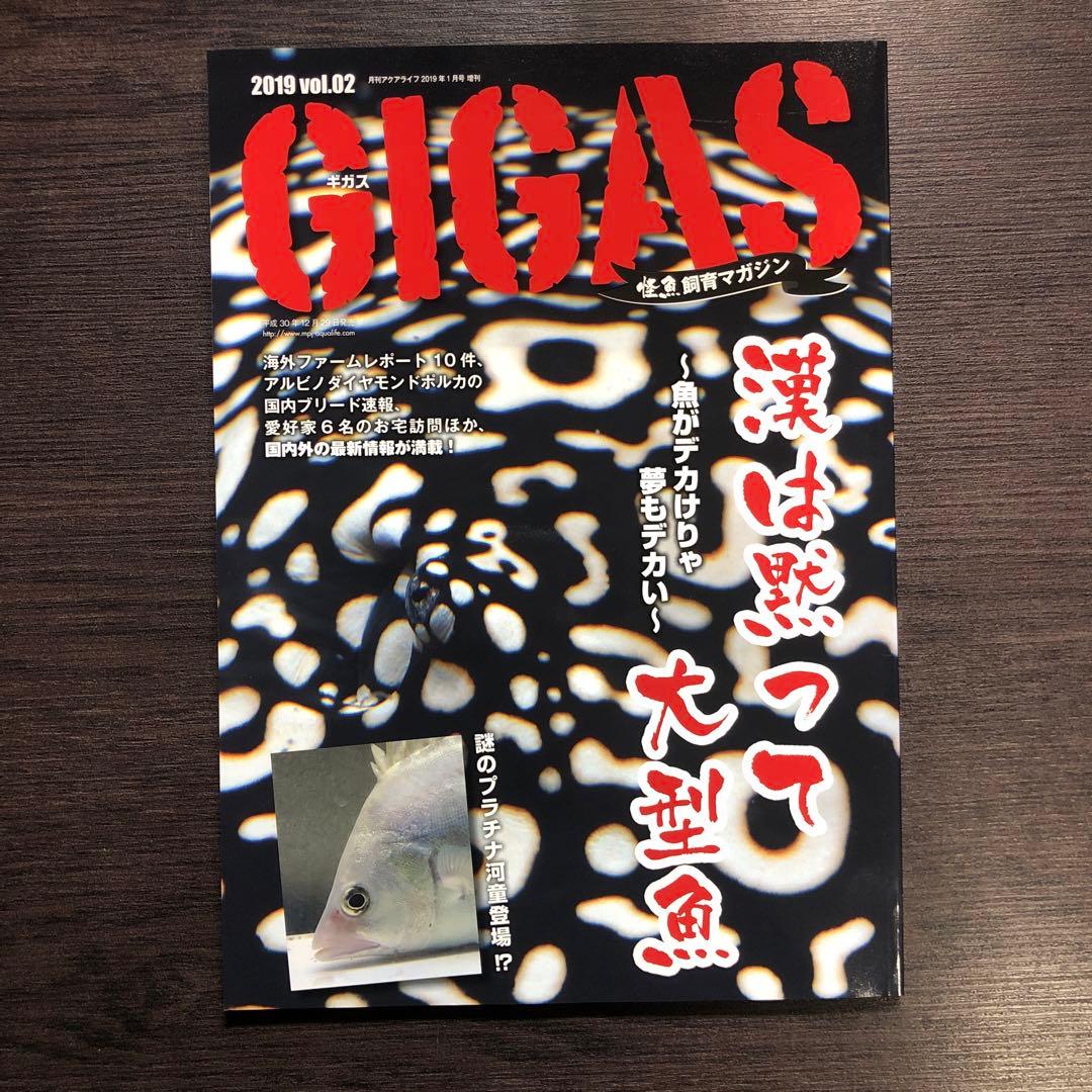 GIGAS 魚類専門雑誌 セット