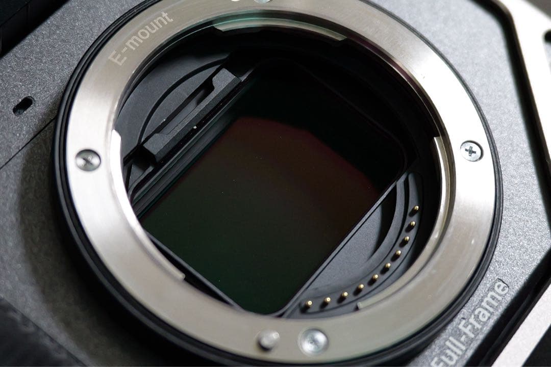 SONY FX2 (ILME-FX2B)保証書付き+ハンドルユニット+リグ