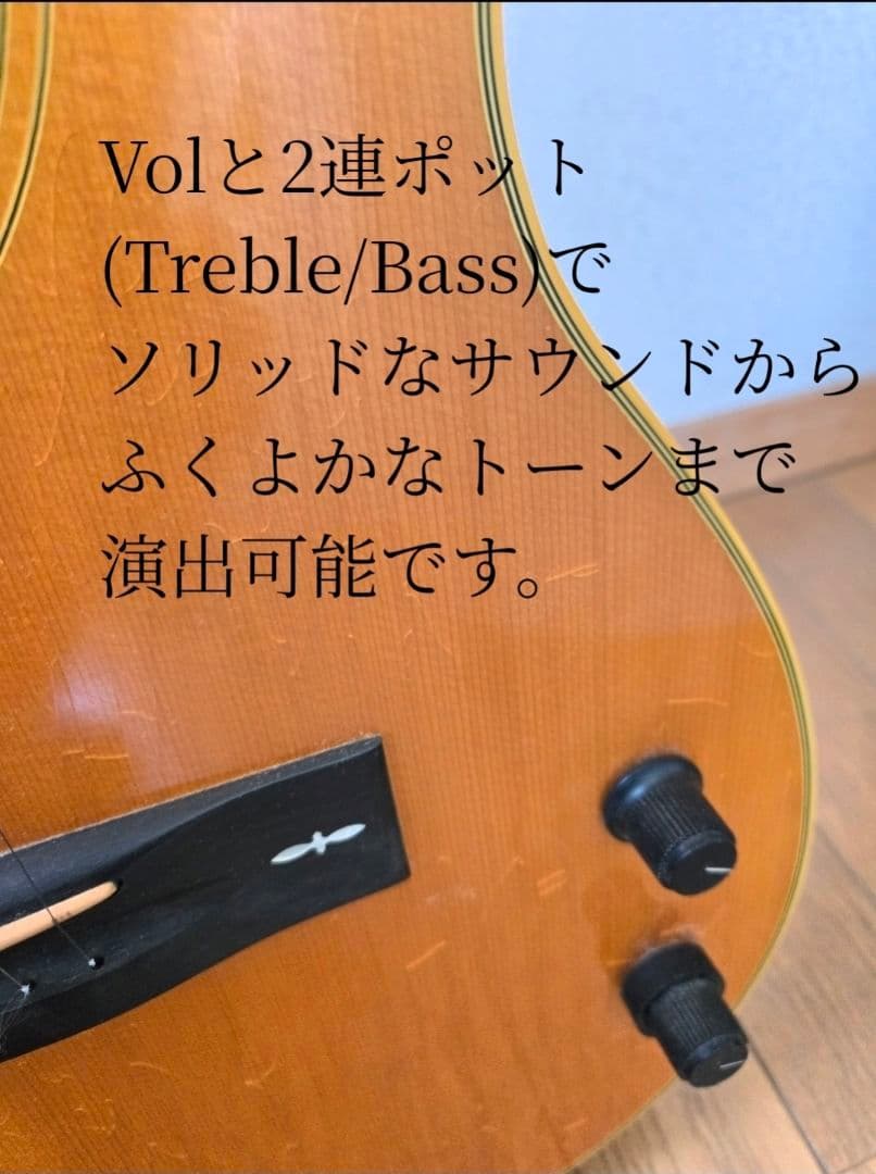 Gibson Chet Atkins SST 1990年製