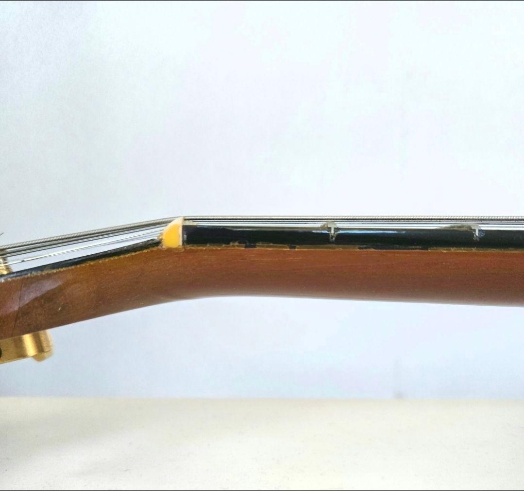 Gibson Chet Atkins SST 1990年製