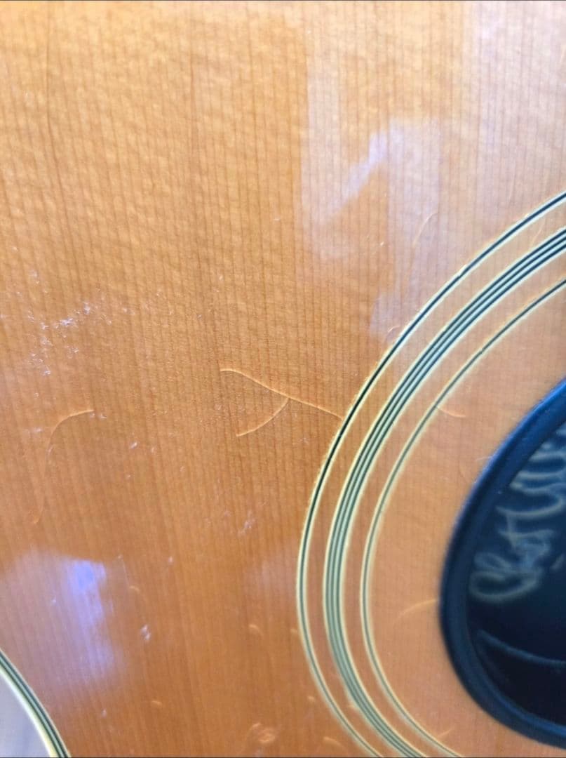 Gibson Chet Atkins SST 1990年製