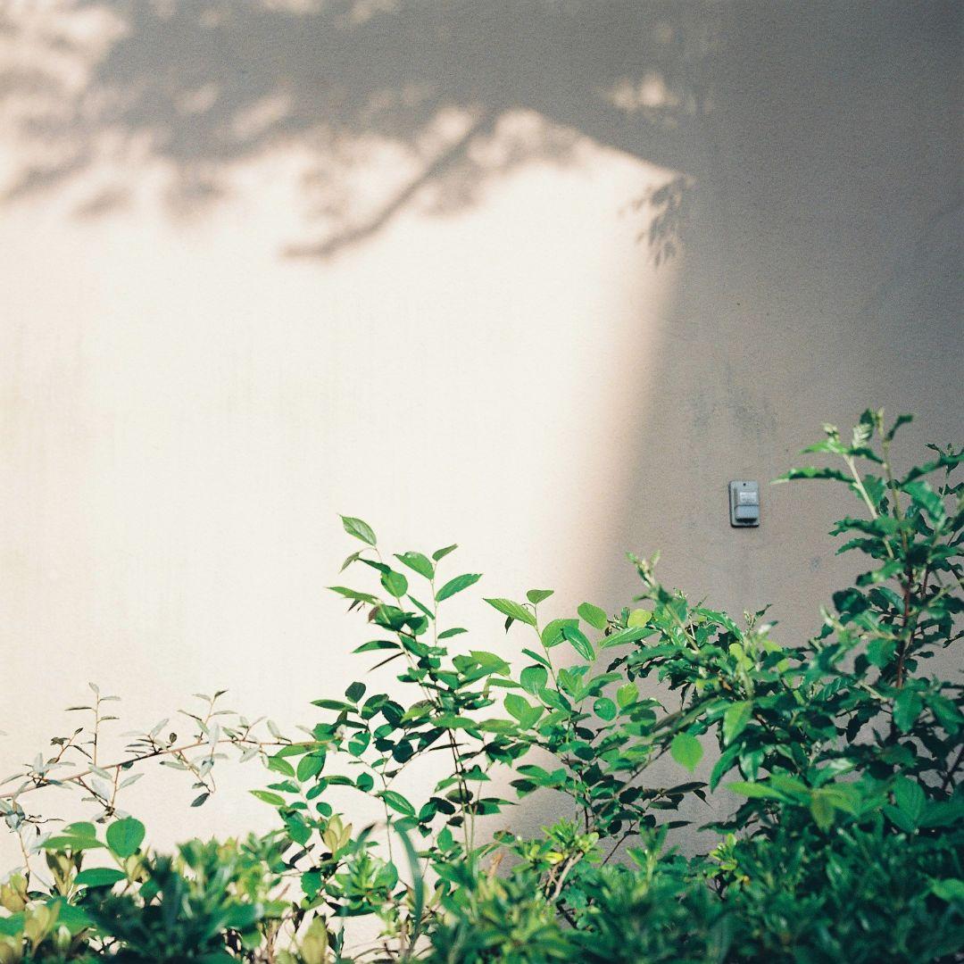 マ*サ様 Hasselblad 500c/m Planar 2.8/80mm
