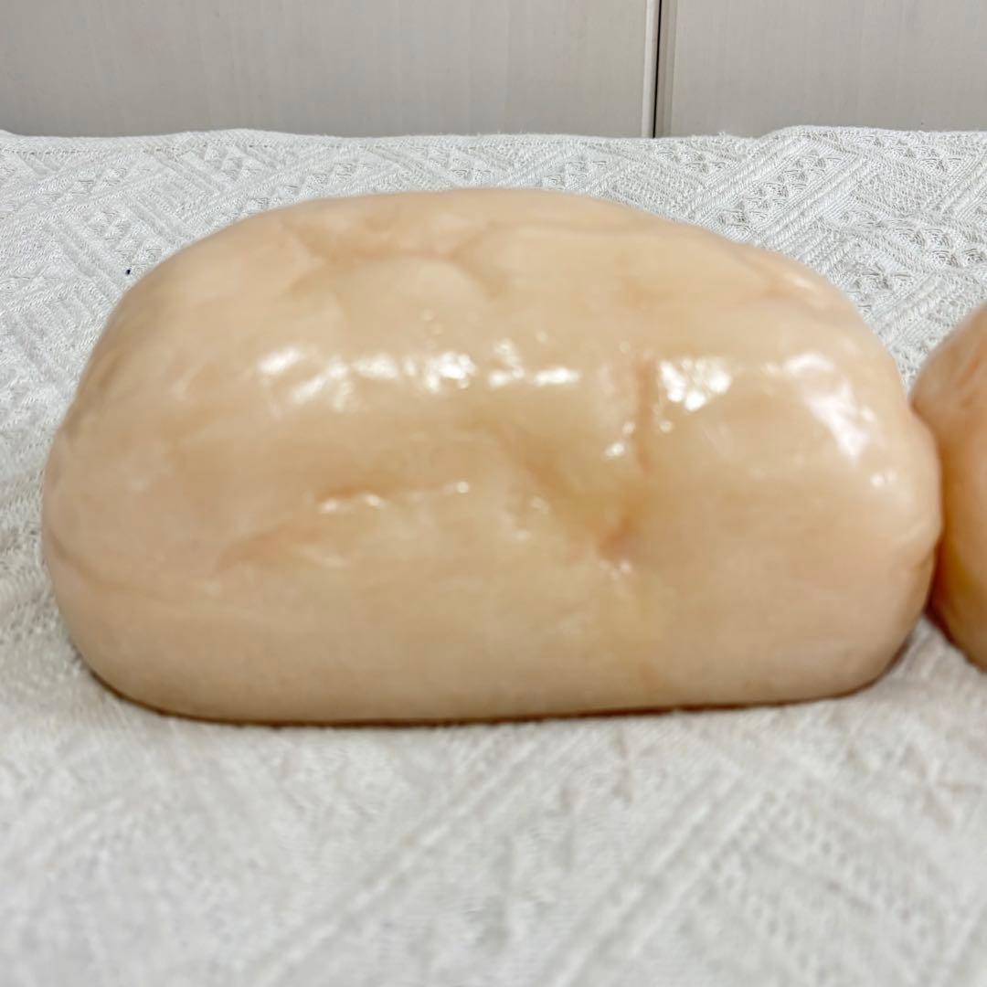 川崎フードモデル 脂肪模型 1kg×2個 ダイエット教材 健康指導用 美品