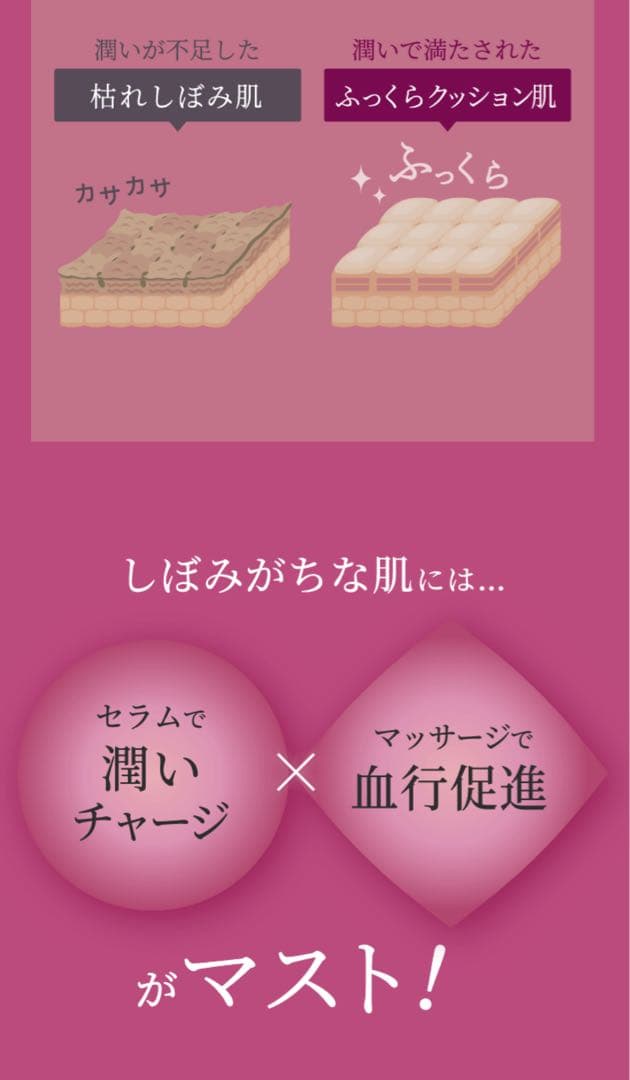 Dearse WRモイストカーボンセラム 6本セット*
