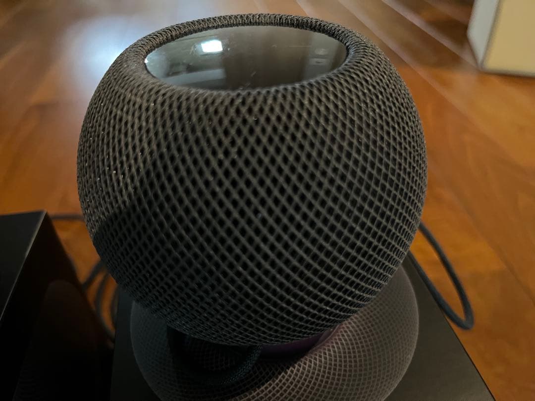 Pod mini スペースグレイ 【MY5G2J/A】　2個セット