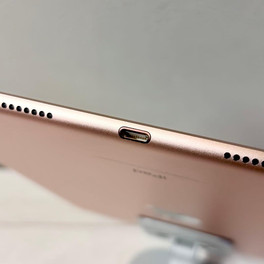 【バッテリー100%】iPad Pro (10.5インチ) 64GB 【極美品】