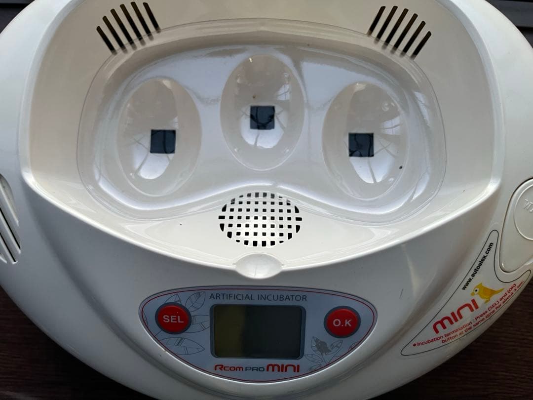 孵卵器 Rcom mini 自動温度管理 LED検卵ライト&動作確認済み 箱付き