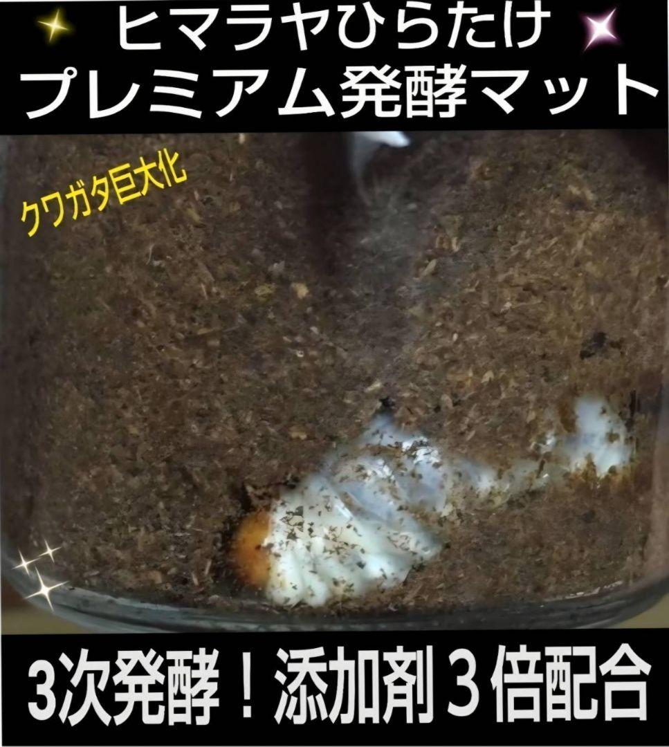 極上品！ヒマラヤひらたけプレミアム3次発酵クワガタマット【40L】栄養添加剤3倍