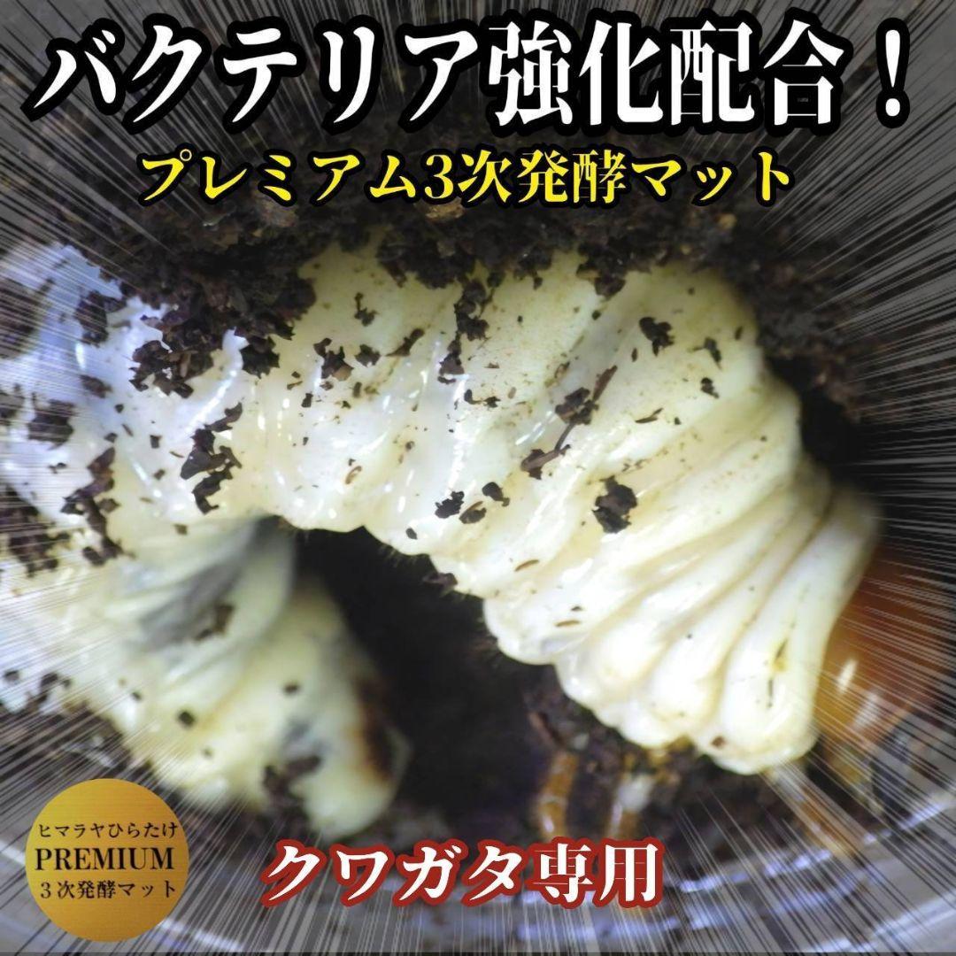 極上品！ヒマラヤひらたけプレミアム3次発酵クワガタマット【40L】栄養添加剤3倍