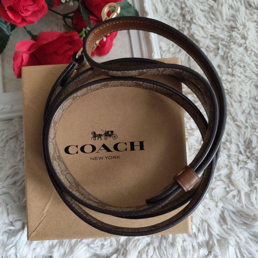 新品　未使用　COACH 犬　リード　シグネチャー　　М　S　小型犬　中型犬