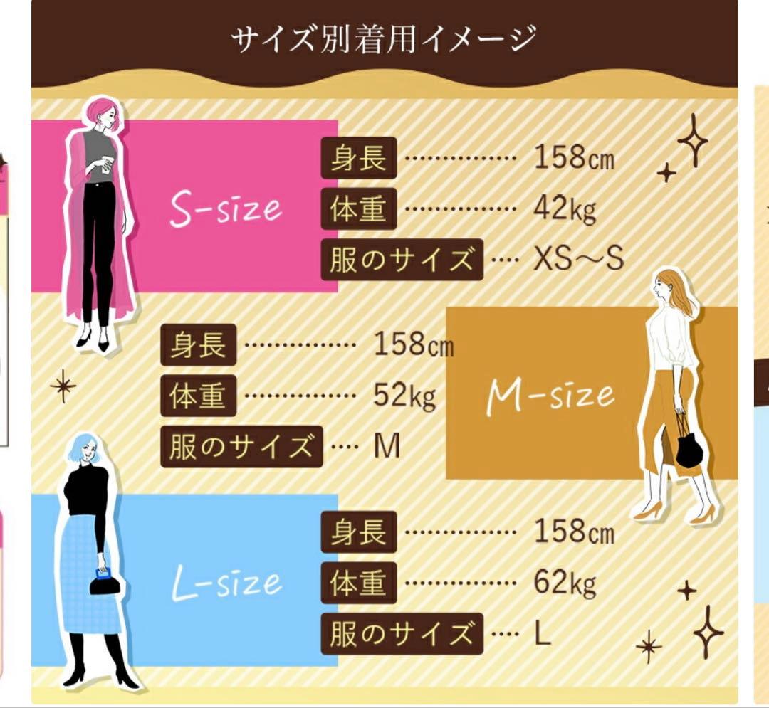 ベルミス　ダズユー　スリムコルセット　Lサイズ３枚セット