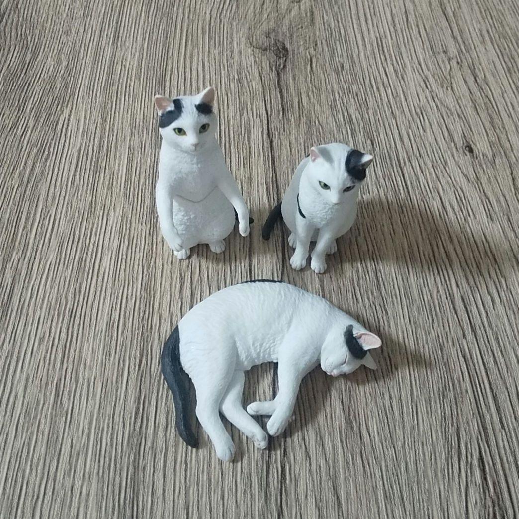 ★★★交渉中★★★