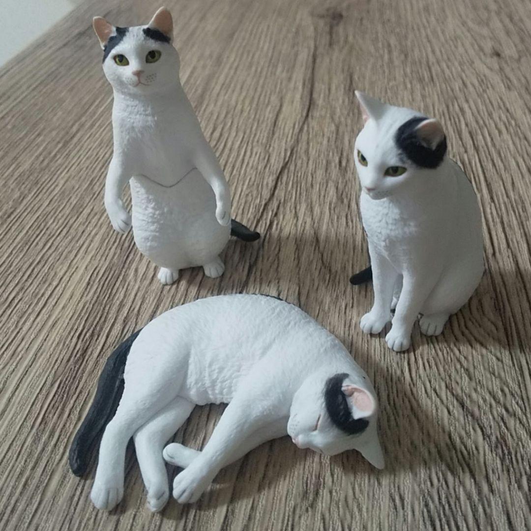 ★★★交渉中★★★