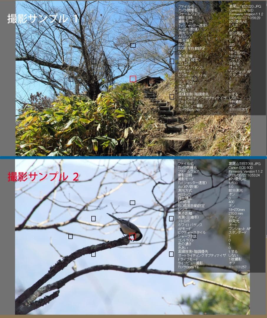 デジタルカメラ CANON EOS60D+TAMROM AF 18-270mm VC B003