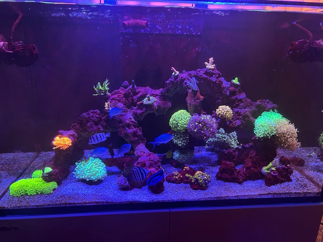 リーファー250G2 フルセット