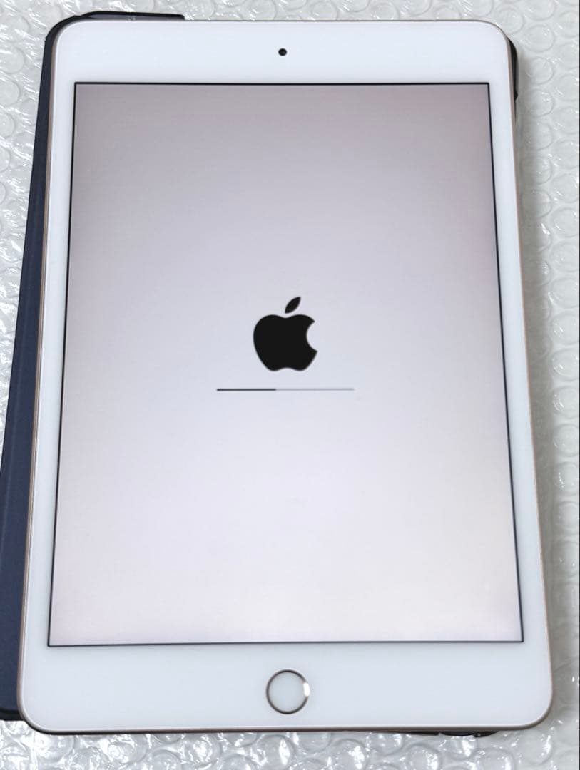 iPad本体 Apple iPad mini 5 64GB Wi-Fi + Cellular