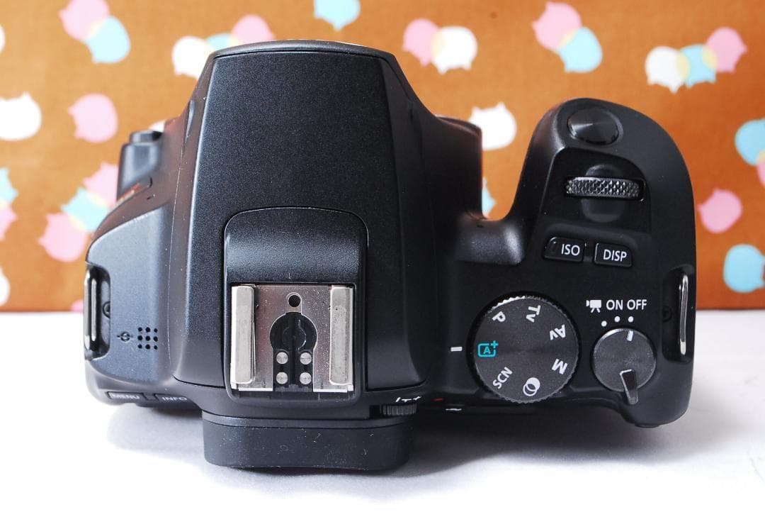 ✨Wi-Fi✨初心者オススメ✨Canon Kiss X10 ダブルレンズセット