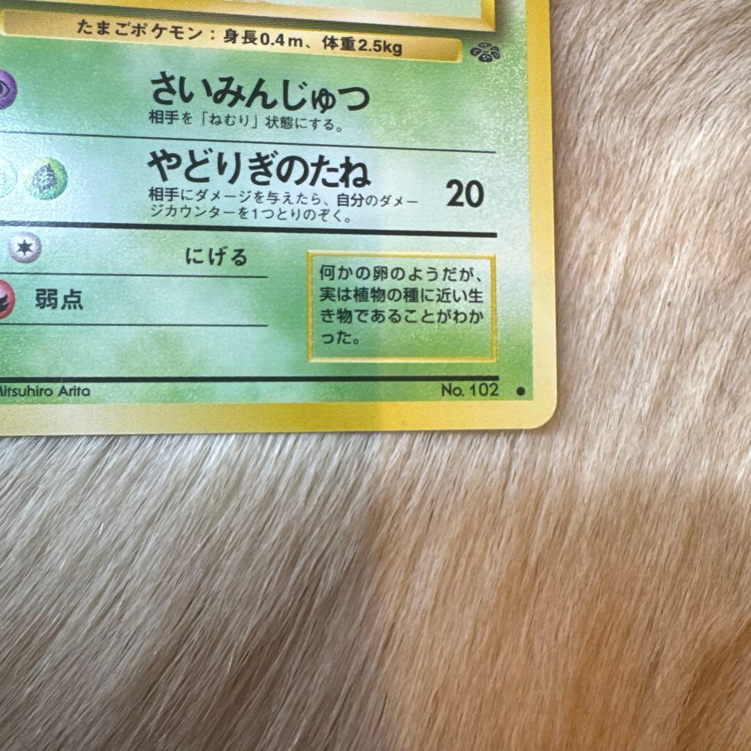 タマタマ ◆ 第2弾拡張パック ポケモンジャングル