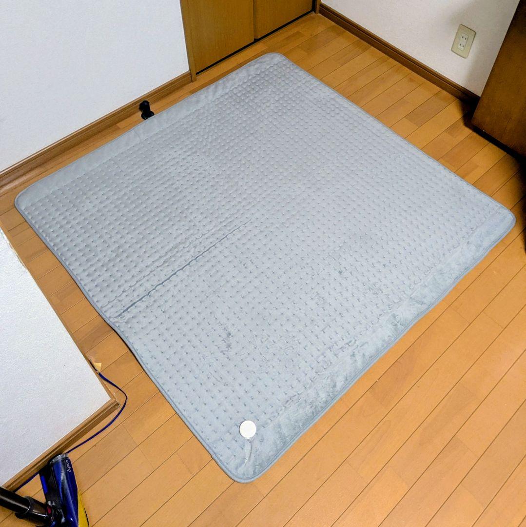 【超美品】デンバヘルス　DENBA HEALTH　スタンダード