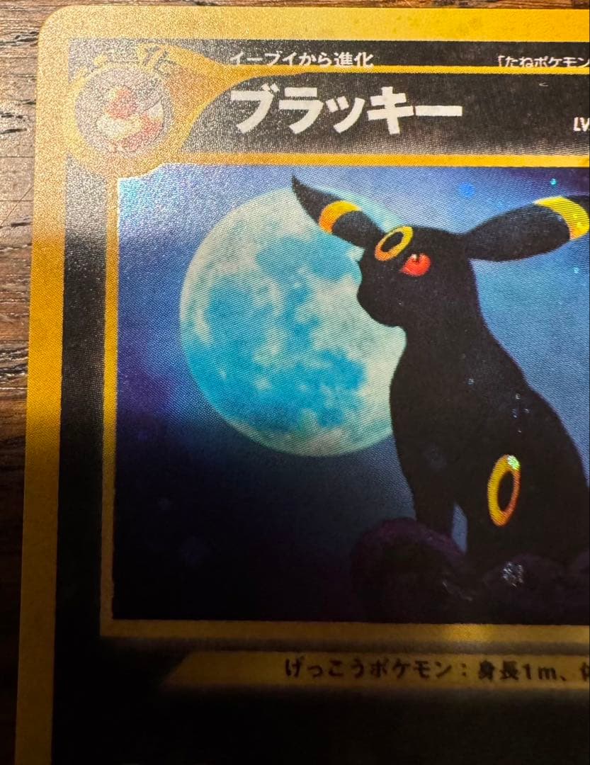 ブラッキー　旧裏　ポケモンカードneo 遺跡をこえ