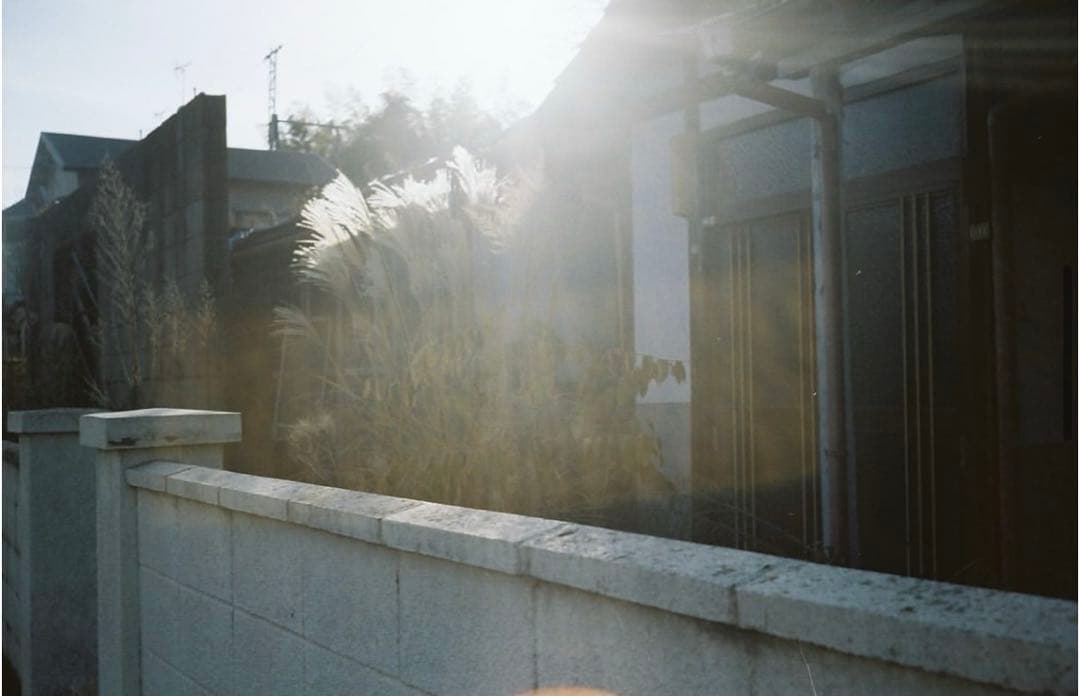 【美品/作例あり】動作品 OLYMPUS TRIP 35 オリンパス