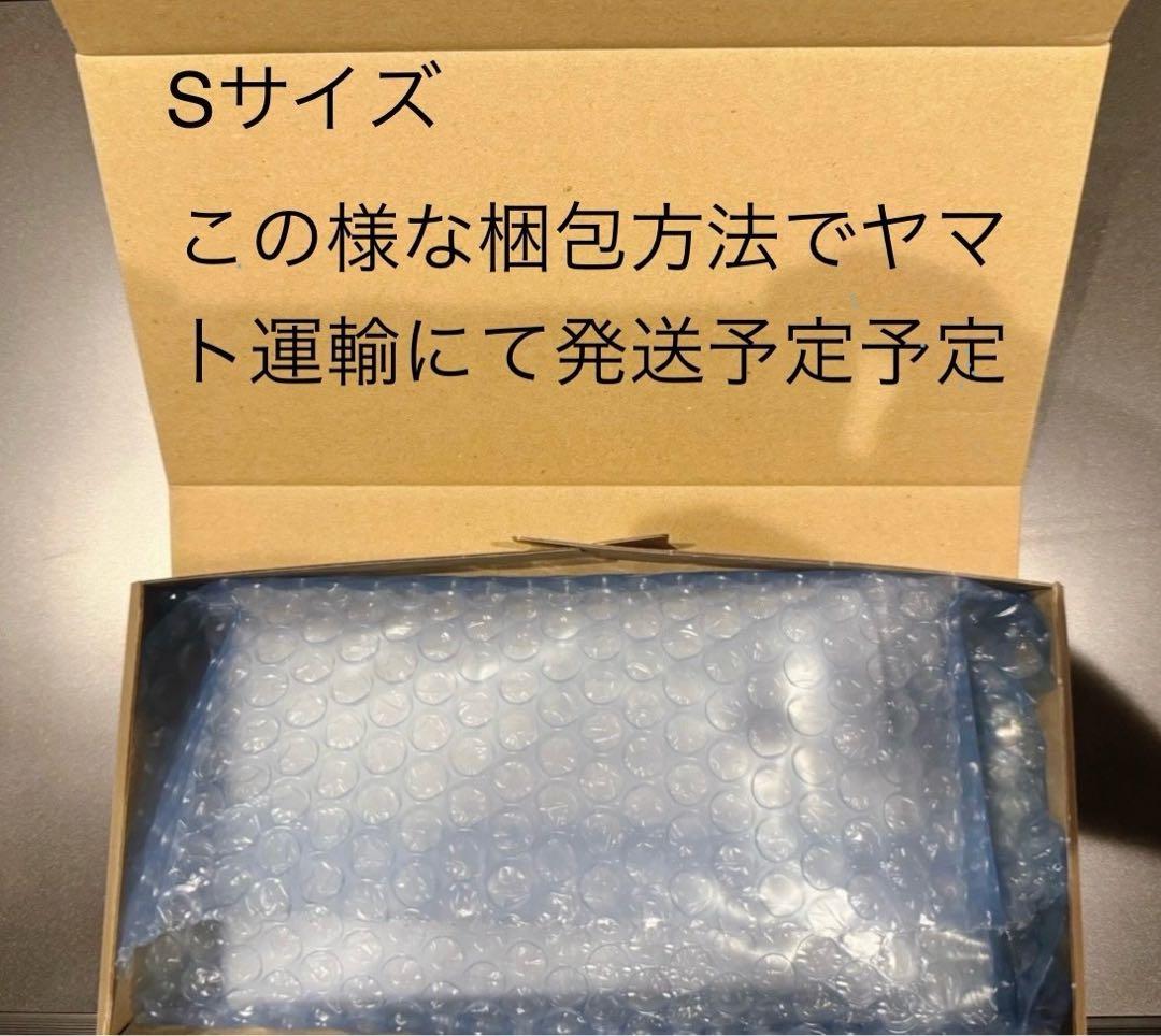 PSA10そらをとぶピカチュウVMAX RRR S8a 25th 5509