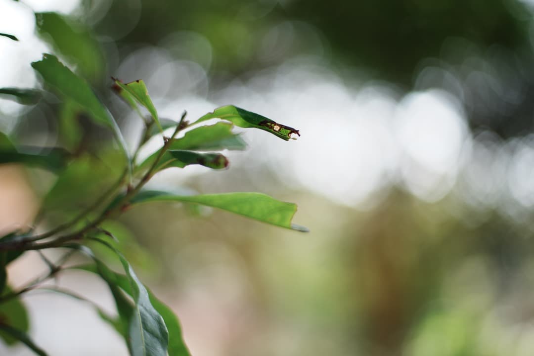 【美品】動作◎ Canon EF 50mm F1.4 USM 591