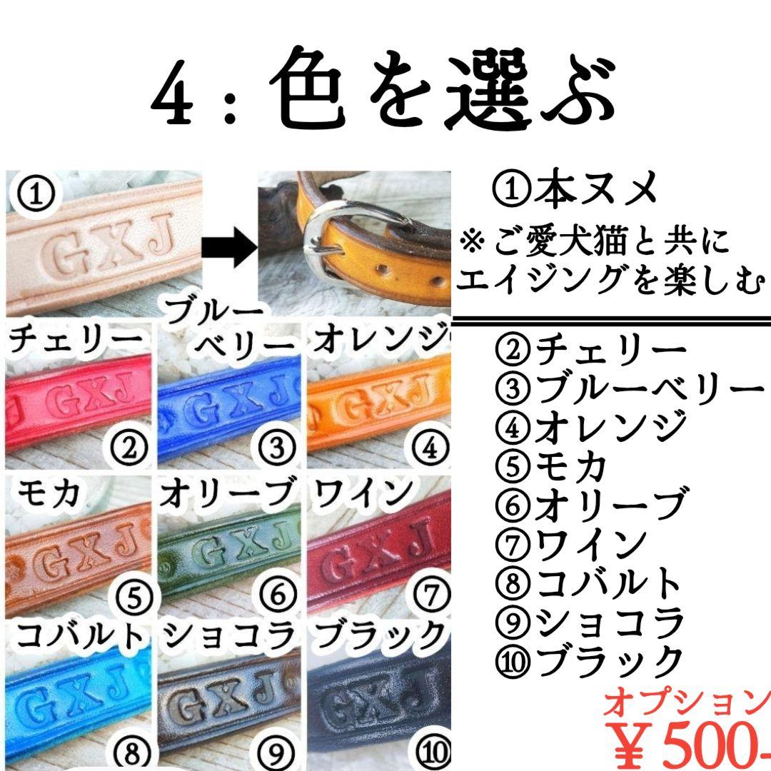【coco】２本セット✨名入れ✨首輪とお揃い✨️小型犬用リード