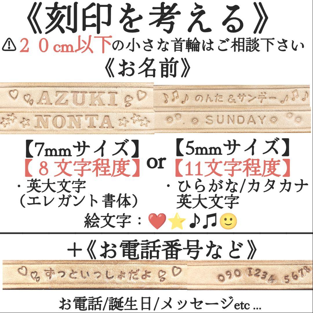 【coco】２本セット✨名入れ✨首輪とお揃い✨️小型犬用リード