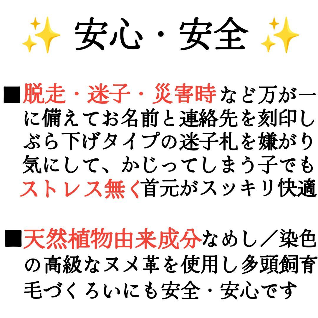 【coco】２本セット✨名入れ✨首輪とお揃い✨️小型犬用リード