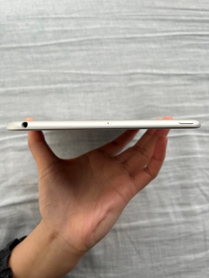 【極美品】iPad mini 5 256G Wi-Fi シルバー　pencil付