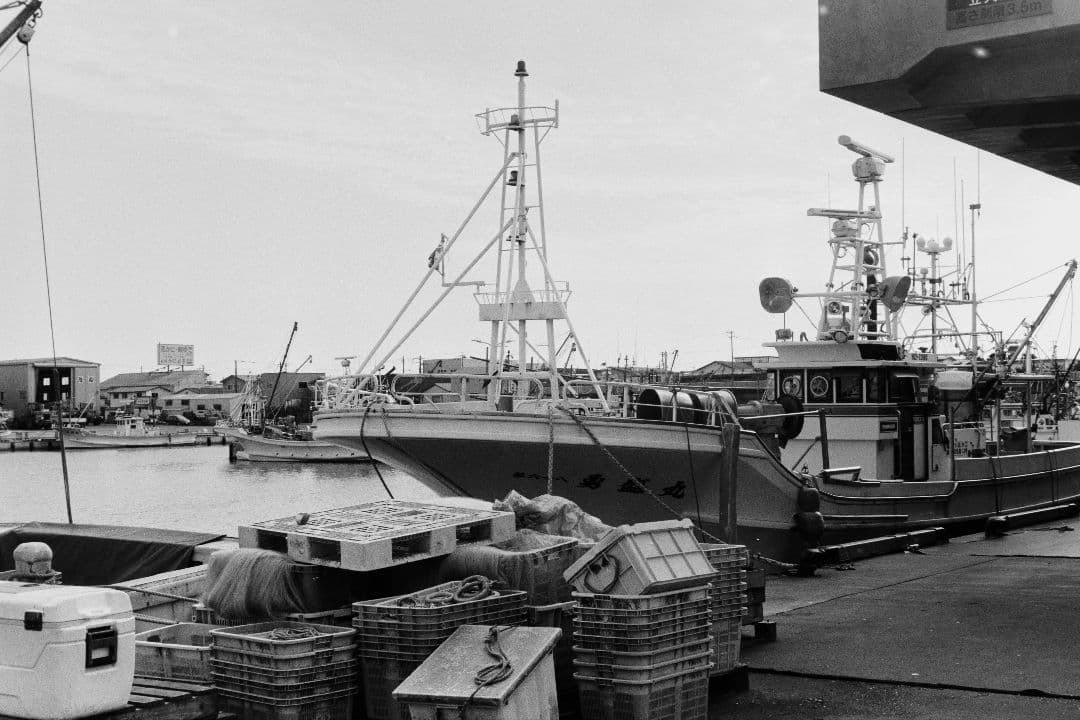 Canonet QL19（実写確認済）