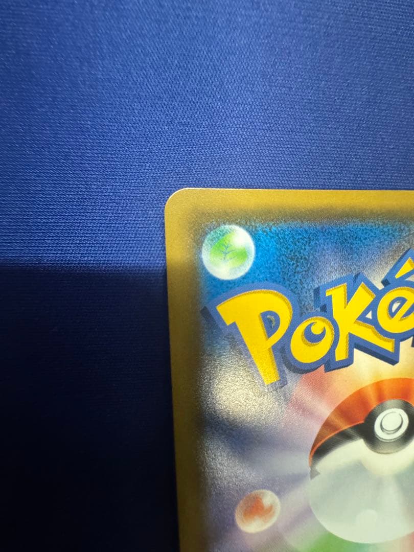 ポケモンカード アローラの仲間たち プロモ