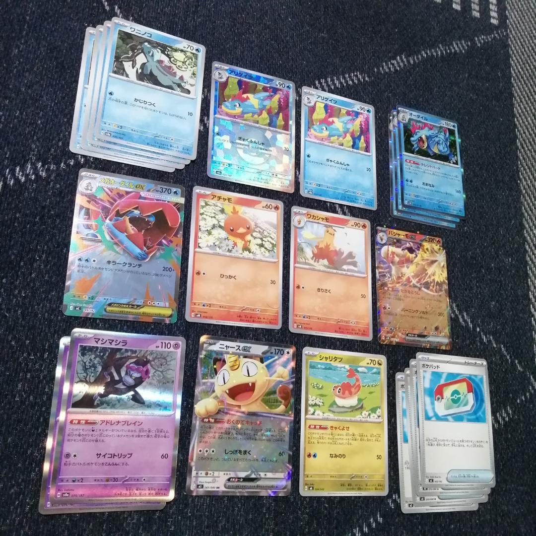 ポケモンカード　デッキ　メガオーダイルex　メガバシャーモex　[04708]