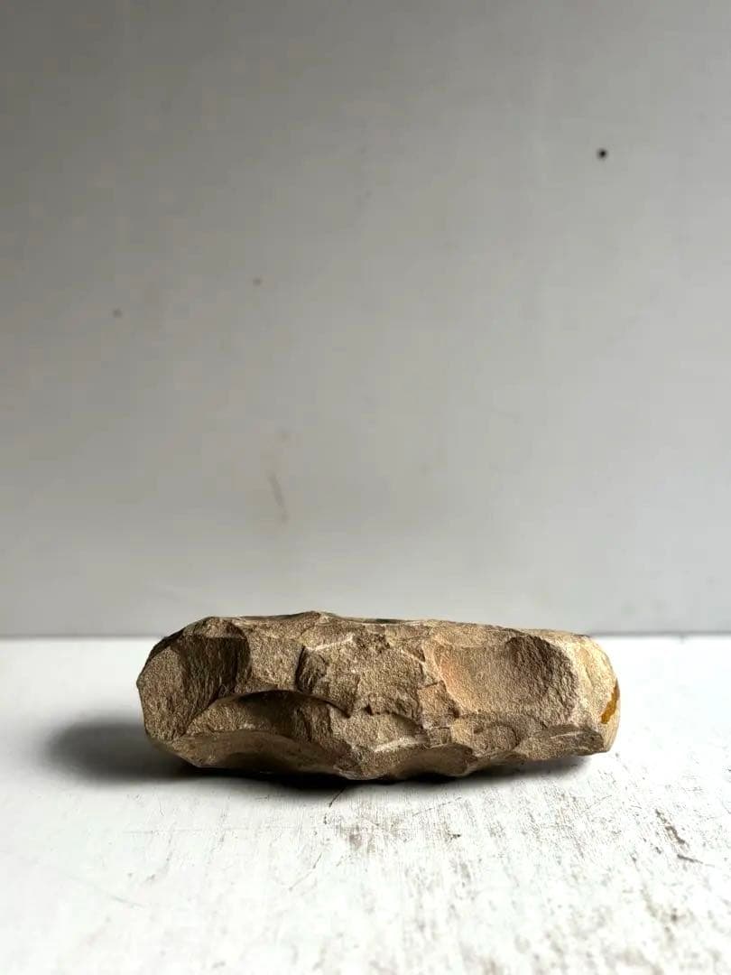 973 化石 中生代白亜紀 古代魚 ラコレピス ブラジル サンタナ層　ノジュール