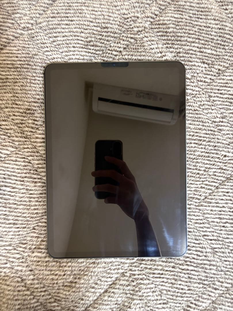 【ジャンク品】iPadpro11インチ 第1世代 WiFi 256GB 充電不可