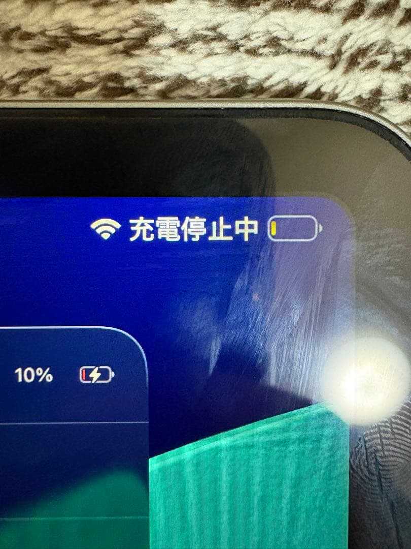 【ジャンク品】iPadpro11インチ 第1世代 WiFi 256GB 充電不可