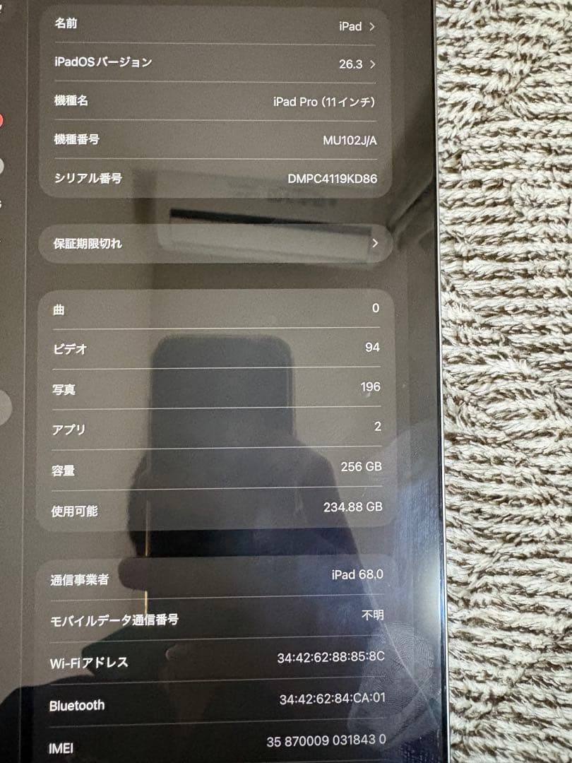 【ジャンク品】iPadpro11インチ 第1世代 WiFi 256GB 充電不可
