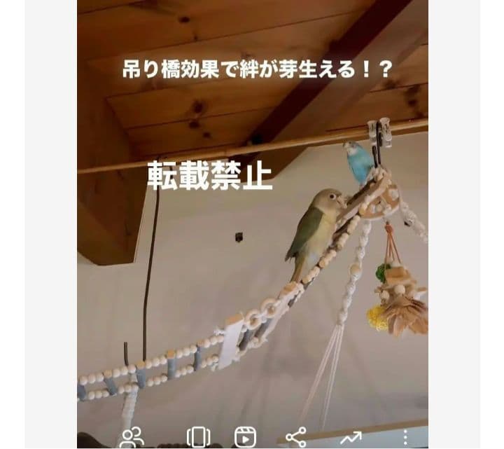 31　吊り橋　はしご　止まり木　バードトイ　鳥　インコ　小動物　長さ90センチ