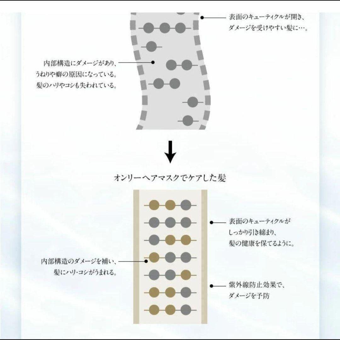 特価✨2個【新品未開封】 オンリー ONLEE ヘアマスク EX トリートメント