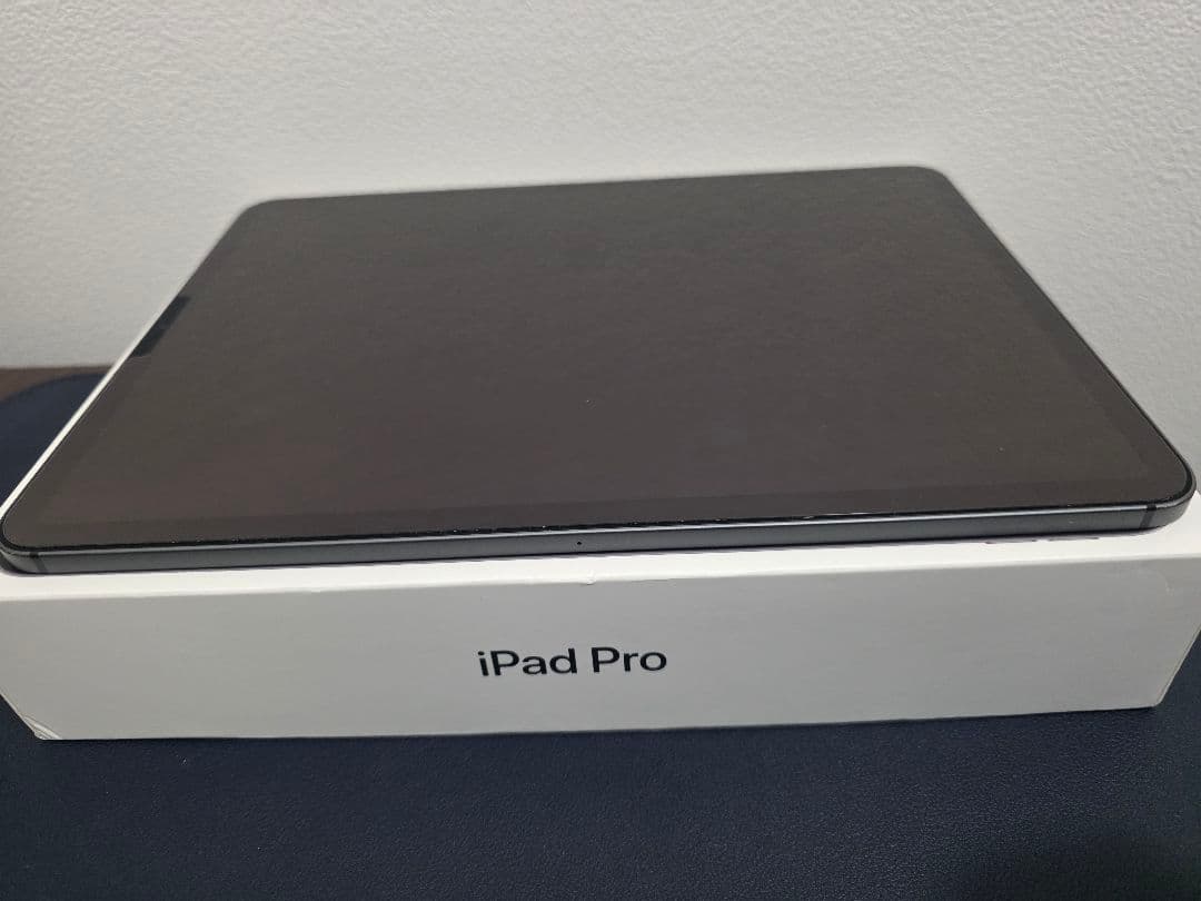 【訳有】iPad Pro11インチ第1世代　256GB セルラーモデル