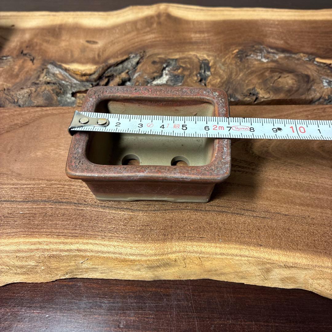 【名品】　小品盆栽鉢　山野草鉢　陶酔3点 参樹陶園1点 他1点　　5点セット